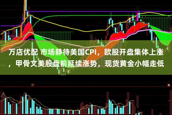 万店优配 市场静待美国CPI，欧股开盘集体上涨，甲骨文美股盘前延续涨势，现货黄金小幅走低