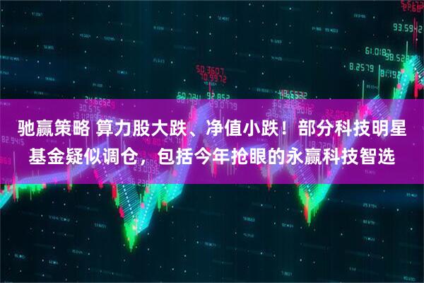 驰赢策略 算力股大跌、净值小跌！部分科技明星基金疑似调仓，包括今年抢眼的永赢科技智选
