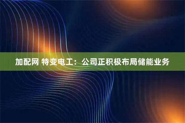 加配网 特变电工：公司正积极布局储能业务