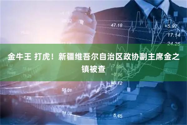 金牛王 打虎！新疆维吾尔自治区政协副主席金之镇被查